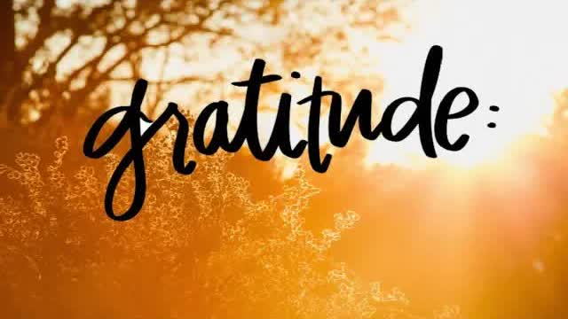 Gratitude (Dedication To Tatiana V.)