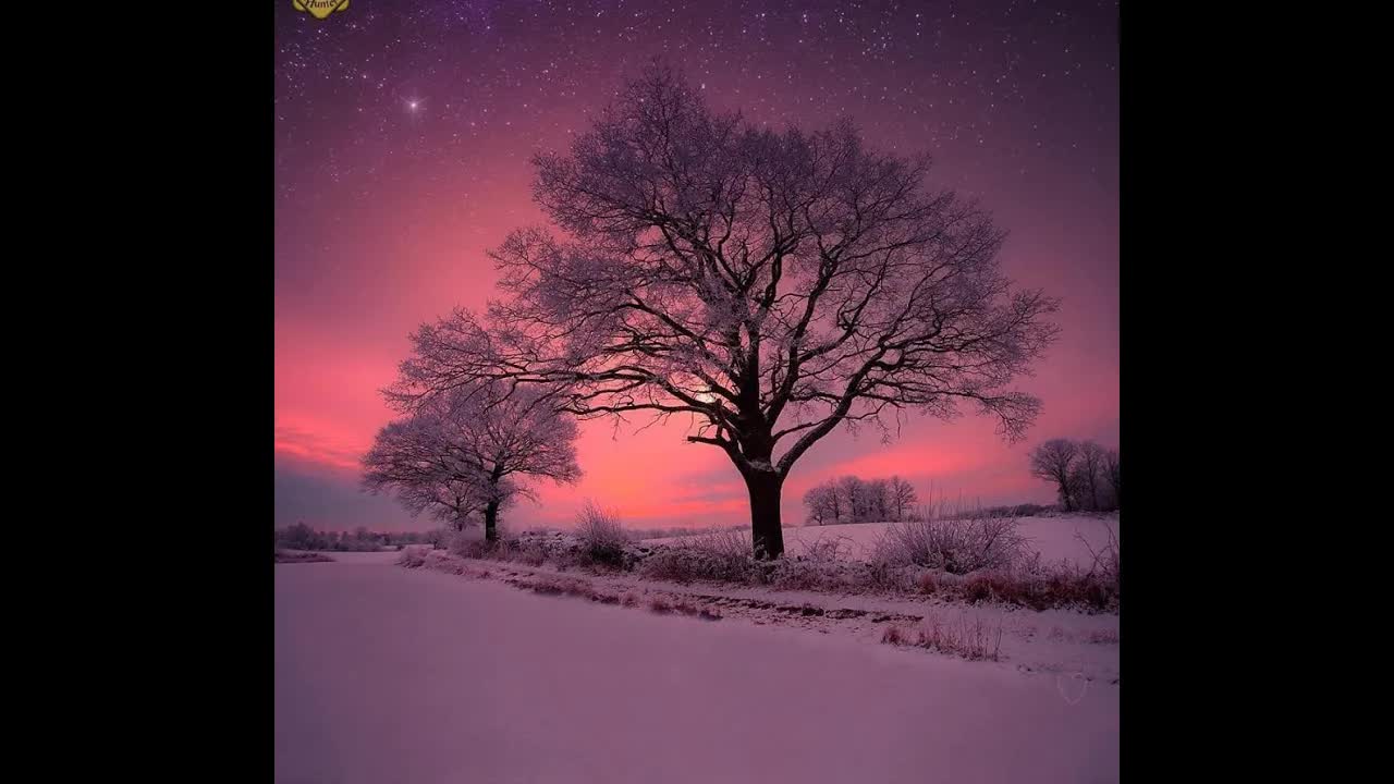 Winter Twilight Lullaby