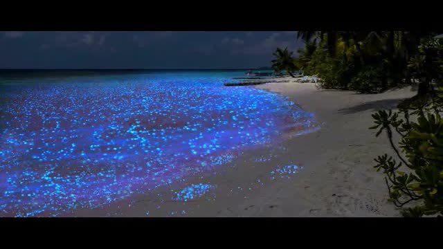 Barefoot On The Starry Beach - Босиком по звёздному пляжу...