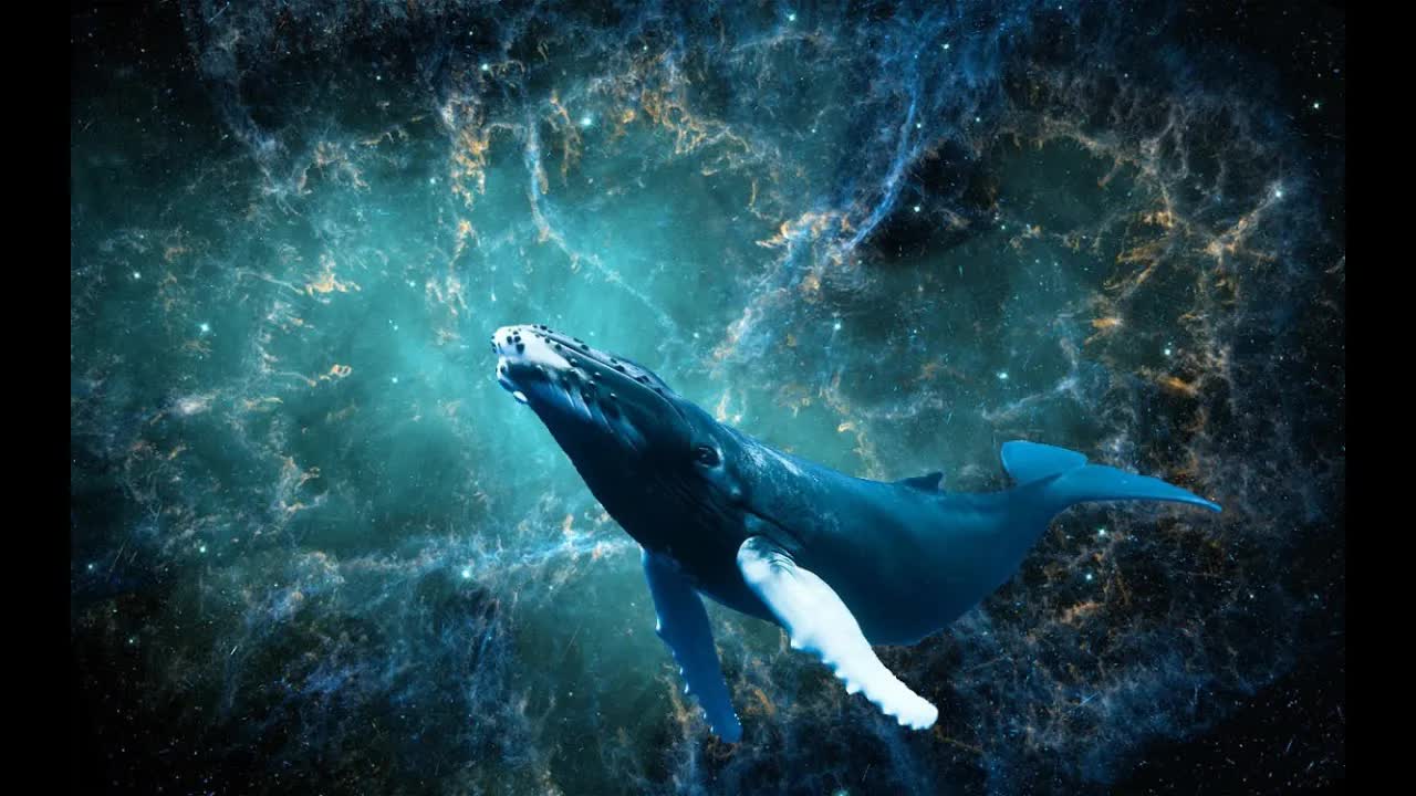 Starry Songs Of Blue Whales (Dedication To Alex Collier) - Звёздные песни синих китов