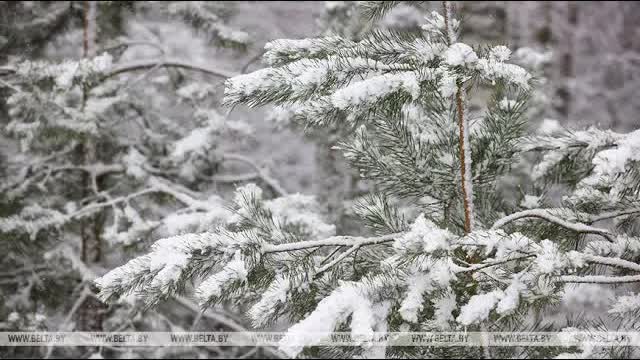 Last Snow Of January - 441Hz - Последний снег января - 441Гц