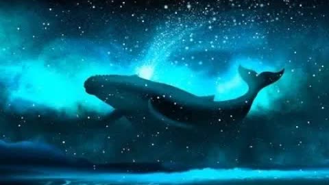 Starry Songs Of Blue Whales (Dedication To Alex Collier) - Звёздные песни синих китов