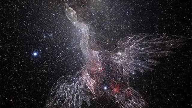 Cygnus Rising - Восход созвездия Лебедь