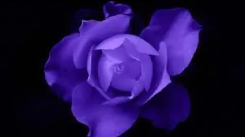 Fantasia In Violet Blue - Фантазия в фиолетово-голубом