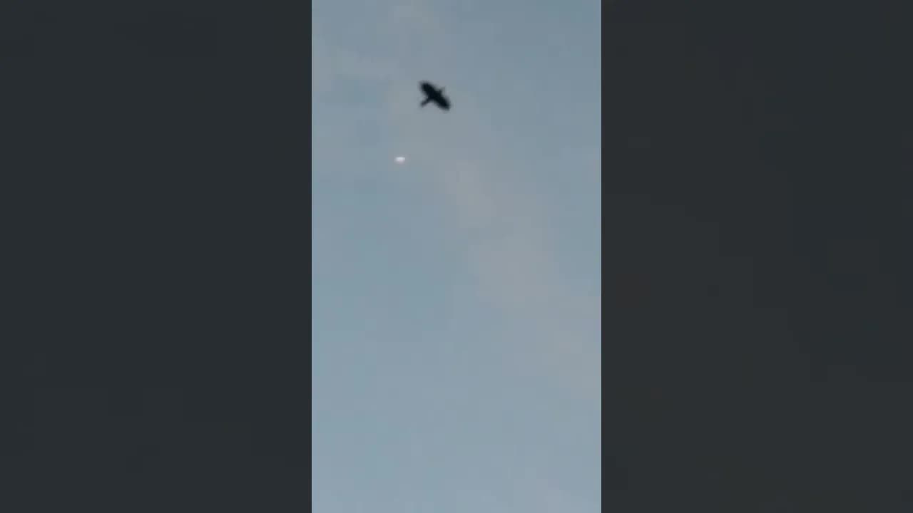 UFO Over Pärnu (Estonia) - НЛО над Пярну (Видео от друга канала Астралионика, Елены Талзи)
